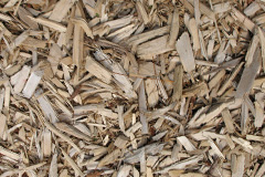 biomass boilers Hunsdon